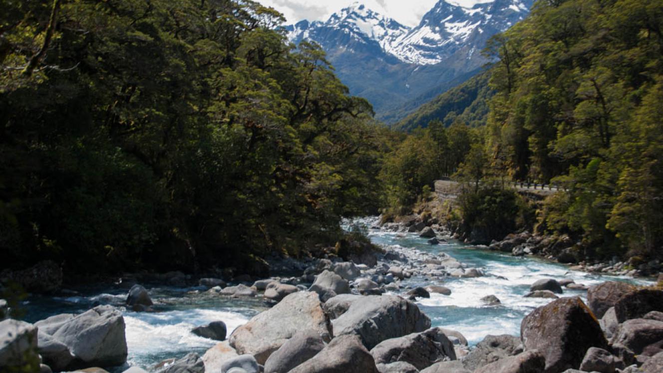 Image of a river in Southland