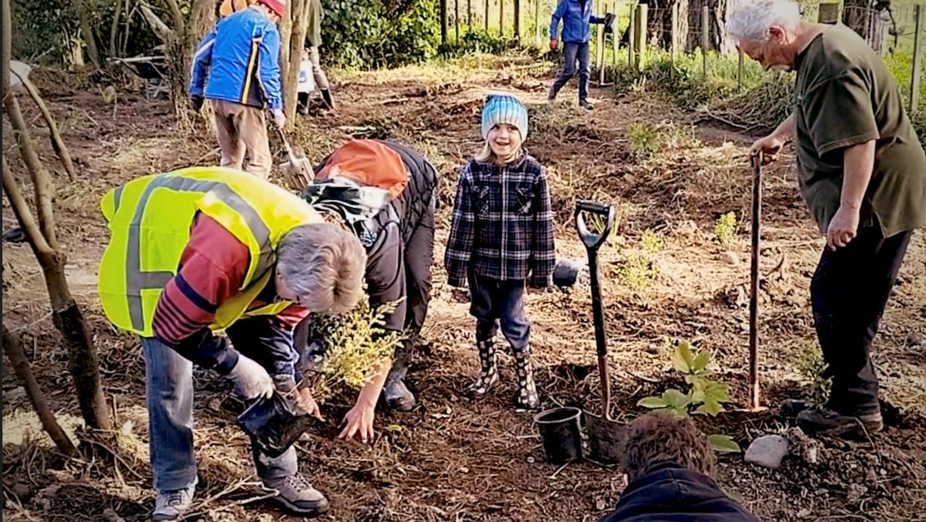 Image of people planting trees
